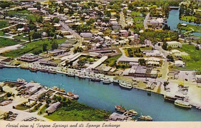 Florida Tarpon Springs & Sponge Exchange Aerial View