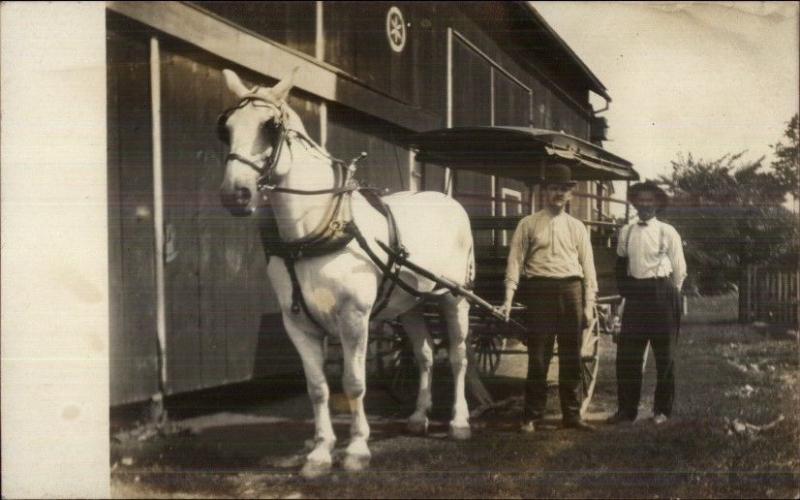 Horse Drawn ALLEN FIRE CO Written on Back Real Photo Postcard c1910