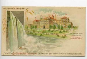 Pan-American Expo Buffalo Shredded Wheat Postcard