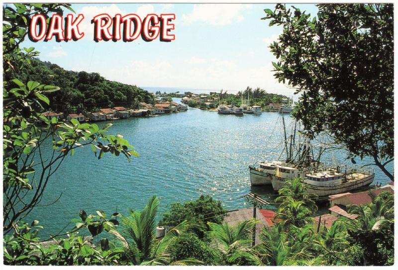 Honduras Roatan Oak Ridge Fishing Boats Postcard 1990s-2000s