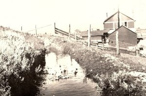 c1910 FARM PHOTO DUCKS SWIMMING IN CREEK BARNS FENCES RPPC POSTCARD P287