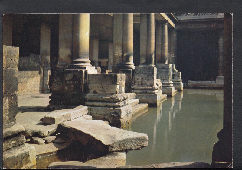 Somerset Postcard - The Great Roman Bath, Bath   B2391 