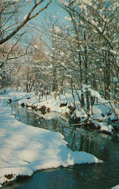 Vintage Postcard Mother Nature Snow White Complexion Vacationland Scene