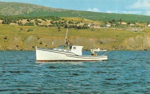 HOLYROOD, NF Canada  TUNA BOAT~Fishermen  CONCEPTION BAY & Homes Chrome Postcard