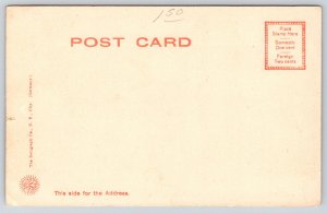 San Antonio Texas~Alamo Mission Fort~Columns~Fence~Spanish Colonial~c1905 PC