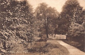 England 1912 Winchester Nuns' Walk vintage postcard