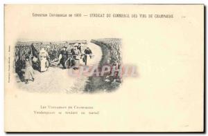 Old Postcard Folklore Wine Vineyard Harvest Champagne 1900 World Expo Vendang...