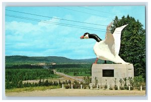 Vintage The Wild Goose Wawa Ontario Canadian Postcard P167E