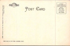 Postcard MONUMENT SCENE Boston Massachusetts MA AM7368