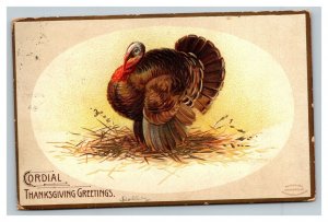 Vintage 1907 Ellen Clapsaddle Thanksgiving Postcard Large Turkey Nesting