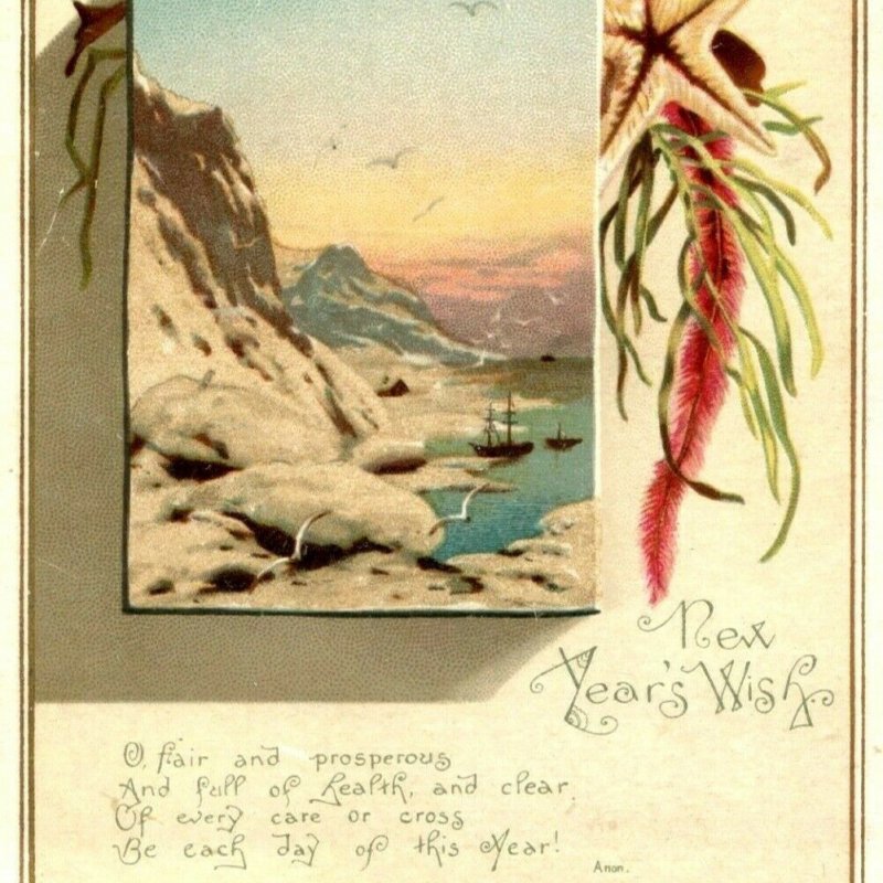 c1880s New Year's Wish Greeting Trade Card Seashore Glitter Wirth Owen C23