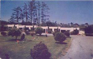 Eureka California 1940s Woody Wagon Travelers Rest Hotel Woody Wagon 7686