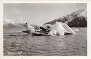 Taku Iceberg Alaska AK Unused Ordway RPPC Postcard H13