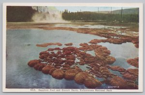 National Parks~Sapphire Pool Buscuit Basin Yellowstone Park~Vintage Postcard