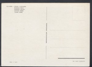 Spain Postcard - Gran Canaria - Typical Detalls     T8475