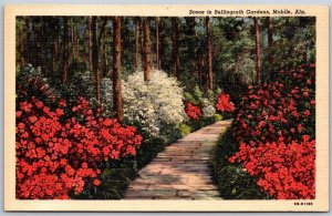 Vtg Mobile Alabama AL Bellingrath Gardens Azalea's Path Trail 1940s Postcard