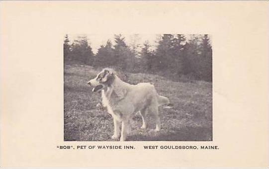 Maine West Gouldsboro Bob Pet Of The Wayside Inn Albertype