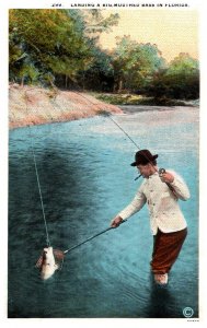 Florida   Leading a Big Mouth Bass on Fly Rod , Smoking Cigar