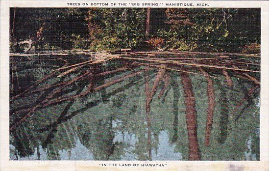 Trees On Bottom Of The Big Spring Manistique Michigan