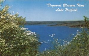 LAKE NORFOLK ARKANSAS DOGWOOD BLOSSOM TIME POSTCARD 1959