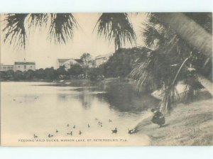 1920's LAKE SCENE St. Petersburg Florida FL AE5297
