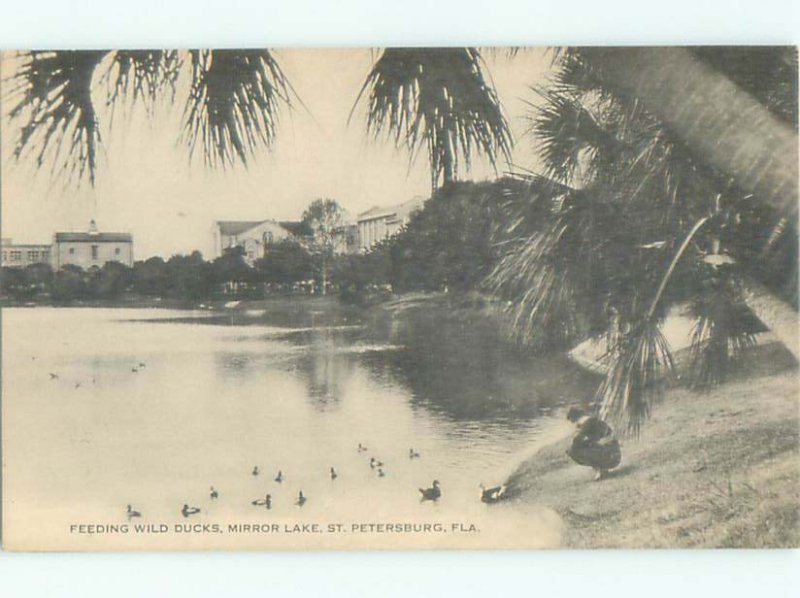 1920's LAKE SCENE St. Petersburg Florida FL AE5297