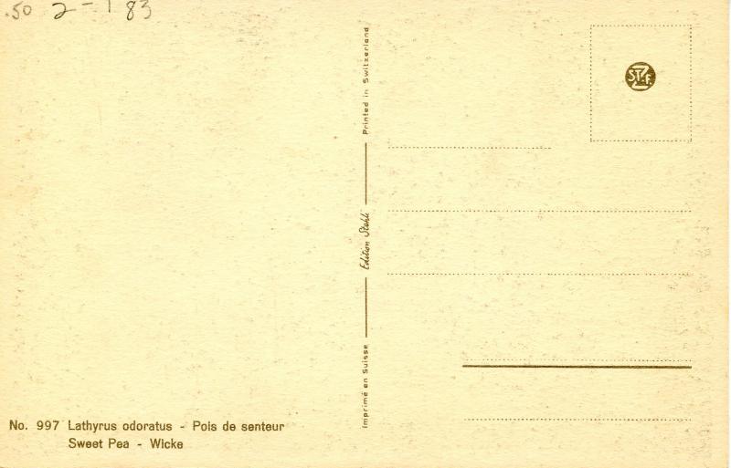 Flowers -    Sweet Peas                           (Edition Stehli #997)