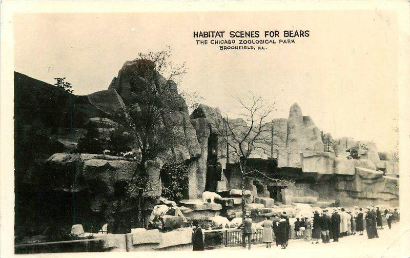 1920s Chicago Illinois Habitat Scene Bears Zoological Park RPPC real photo 2091