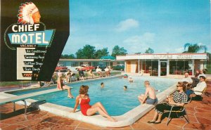 Postcard Florida St. Petersburg Pinellas Park Chief Motel Swimming Pool 23-1557