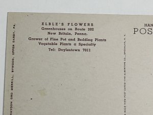 Postcard Elble’s Flowers New Britain PA Bucks County