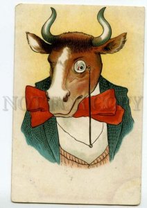 493096 COMIC Dressed BULL pince-nez Horned Husband Vintage postcard