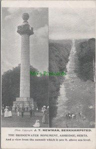 Hertfordshire Postcard - Ashridge, The Bridgewater Monument RS32907