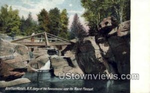 Gorge, Ammonosuc, MT Pleasant in Bretton Woods, New Hampshire