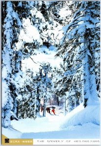 VINTAGE CHINA ILLUSTRATED MAXIMUM POSTCARD HELONGJIANG SCENERY SNOWFIELDS FOREST