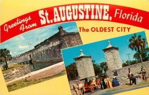 Greetings From St. Augustine Florida Vintage Banner Postcard