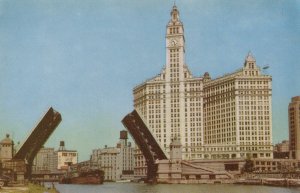 America Postcard - Wrigley Building, Chicago, Illinois RS22022