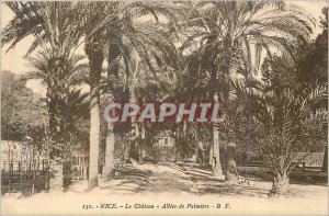 Old Postcard Nice Palms Allees the Chateau