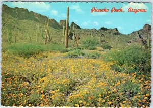 c1970s Picacho, AZ Peak Desert Bloom Cactus Scenic Greetings Unposted 4x6 PC M10