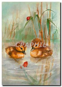 Modern Postcard Ducks