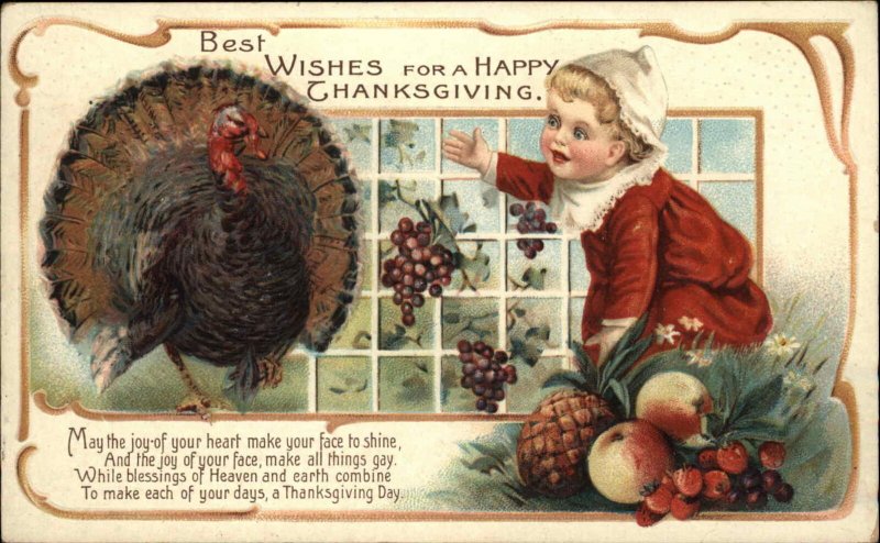 Thanksgiving Little Boy and Turkey Window Backdrop c1910 Vintage Postcard