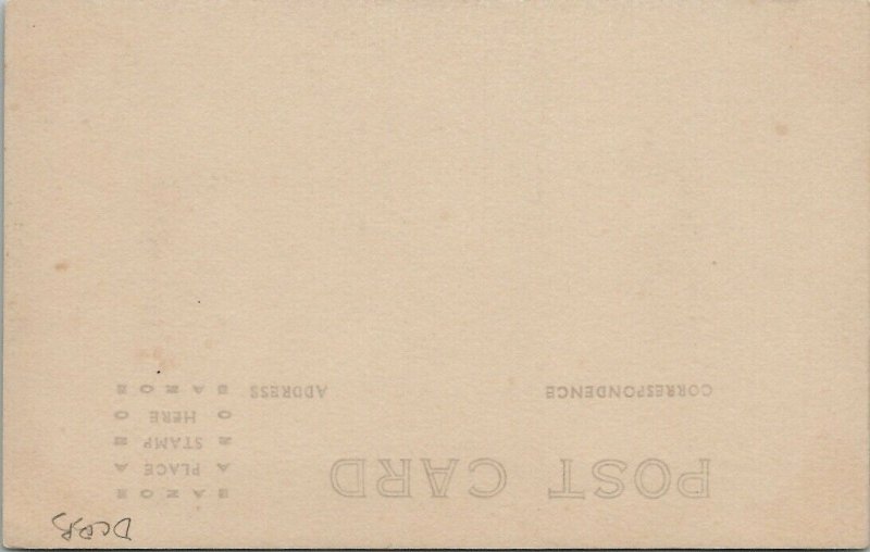 Plymouth VT Calvin Coolidge Birthplace Bird's Eye View RPPC Postcard T17 
