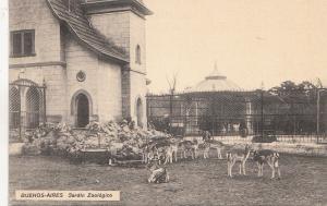 B81413 dear cerf jardin zoologico  buenos aires argentina front/back image