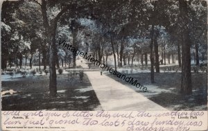 Lincoln Park Aurora IL Postcard PC251