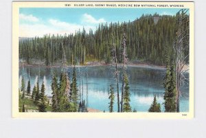 ANTIQUE POSTCARD NATIONAL STATE PARK MEDICINE BOW FOREST SILVER LAKE