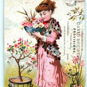 c1880s Cambridge MA David Brewers Provisions Trade Card Gardening Girl Flower C9