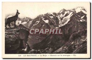 Old Postcard The Dauphine Meije Chamois Mountain