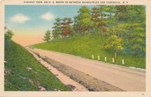 US Route 20 Highway between Skaneateles and Cazenovia NY, New York - Linen