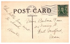 Bears walking to Church