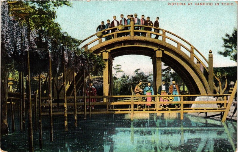 PC CPA TOKYO Wisteria at Kameido JAPAN (a9351)