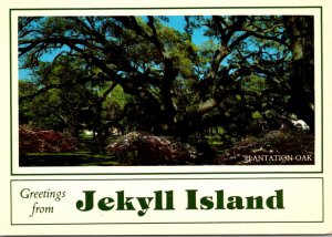 Georgia Greetings From Jekyll Island Showing The Plantation Oak